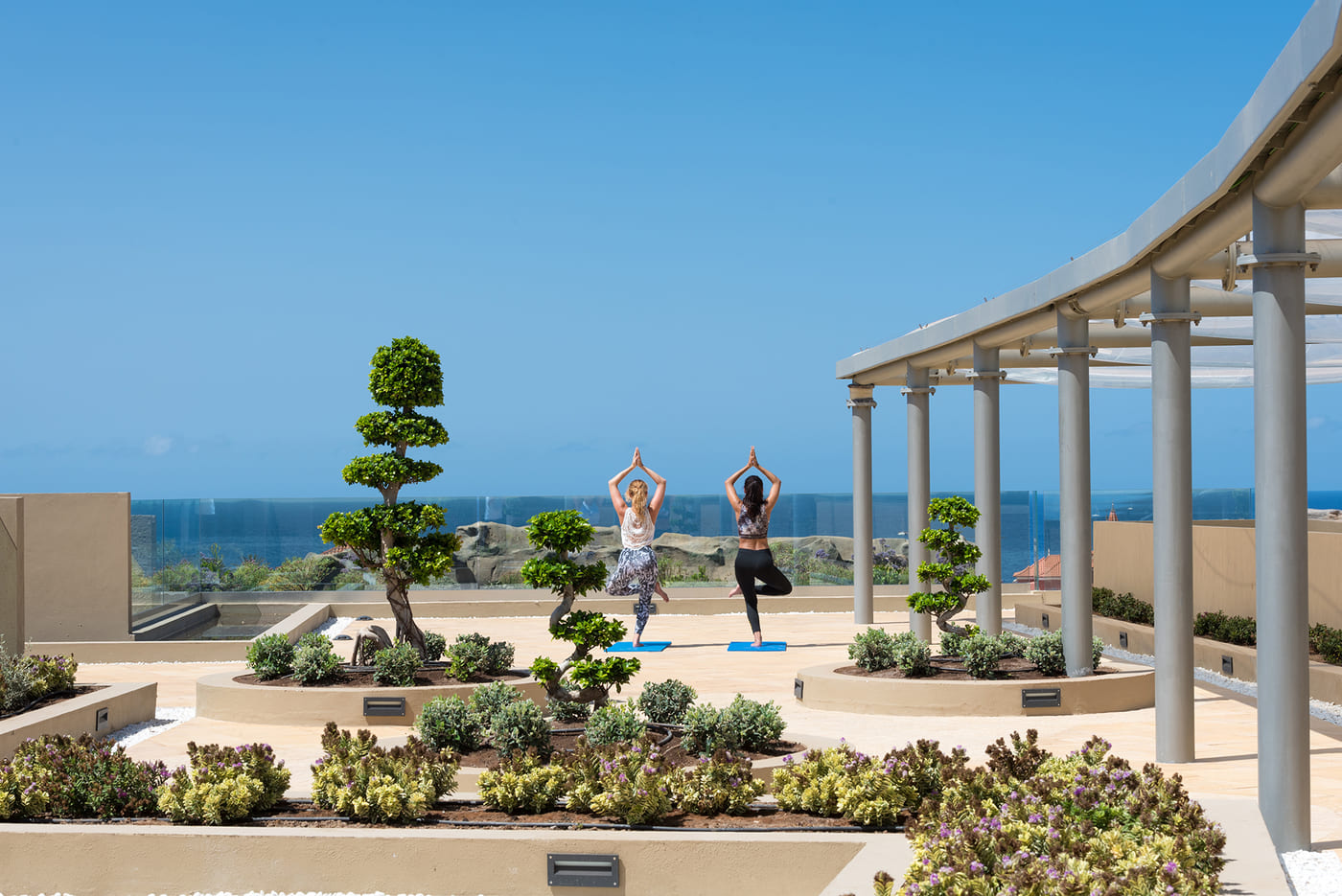 Tratamientos_recuperación_navidades