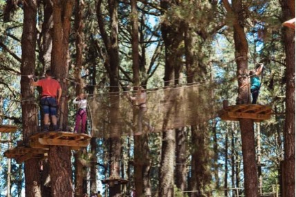 gf-planes-familia-forestal-park
