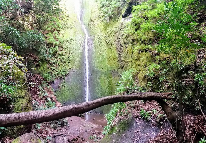 cataratas tenerife salto del tornero gf hoteles