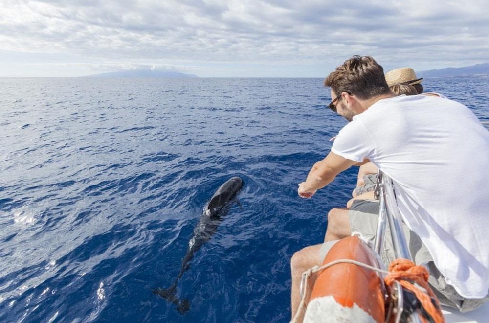best tours and excursions in Tenerife