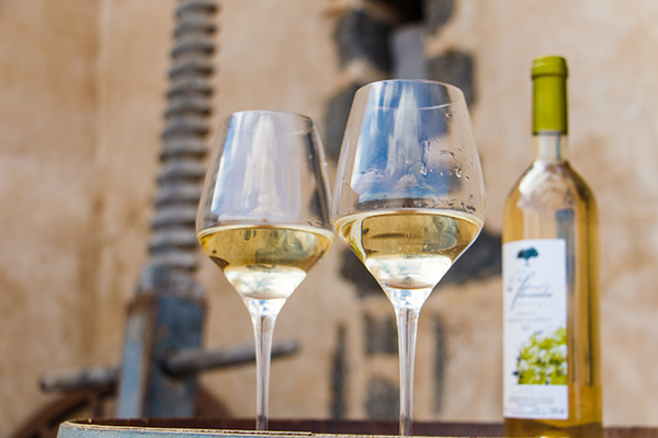 Vinos de Lanzarote 1