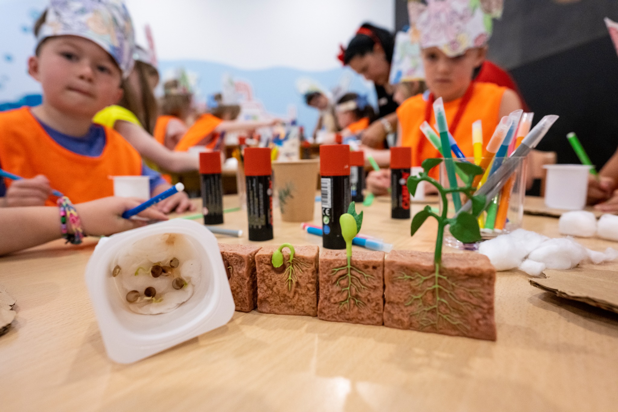 GF Hoteles celebra el Día Mundial del Medioambiente
