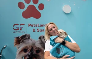 Hoteles admiten mascotas en Tenerife sur