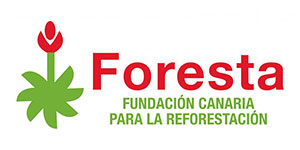 foresta
